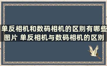 单反相机和数码相机的区别有哪些图片 单反相机与数码相机的区别